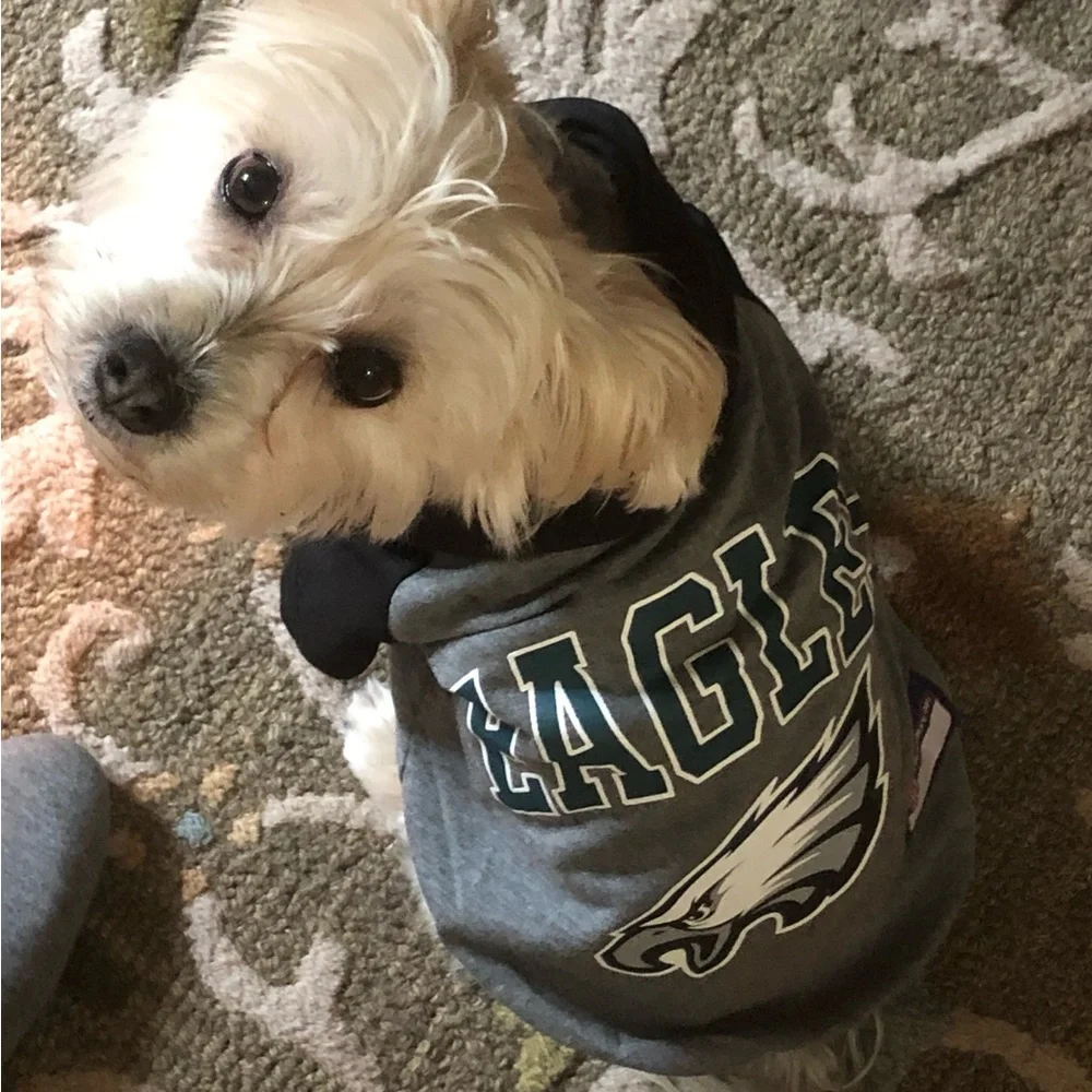 Boo & NFL Pup Jerseys